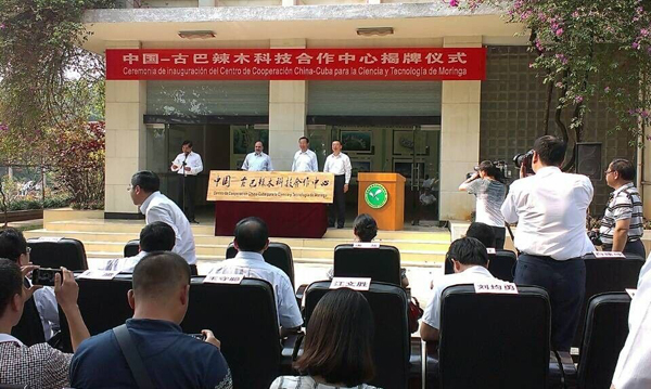 中国古巴辣木科技合作中心挂牌成立