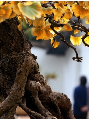 老年人吃什么好,老年人立秋养生八大禁忌