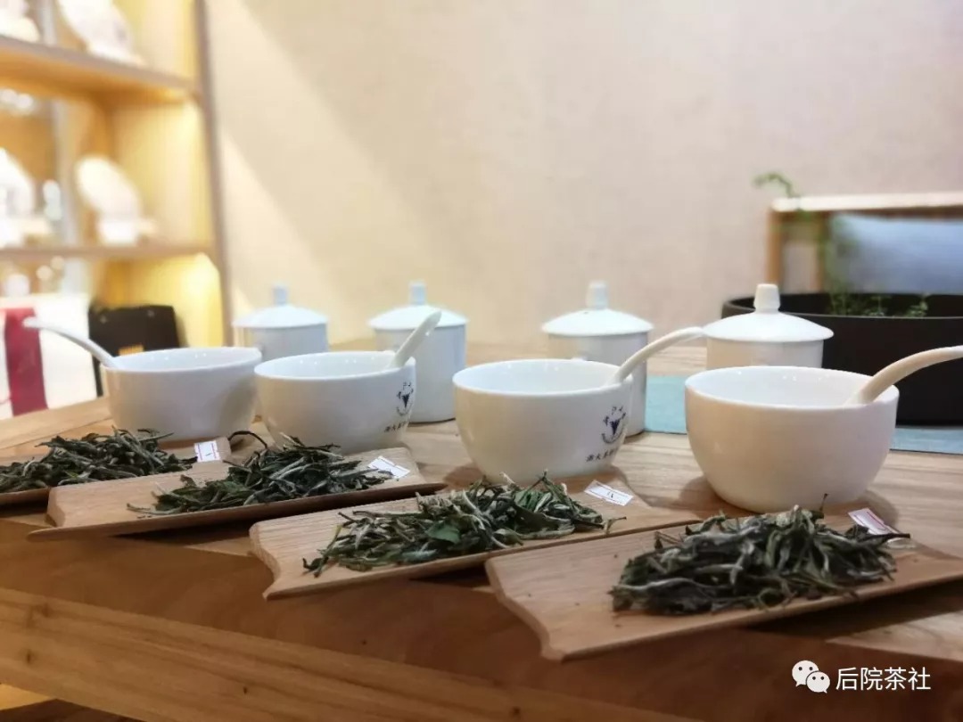 夏天喝什么白茶？也许白牡丹茶是个不错的选择