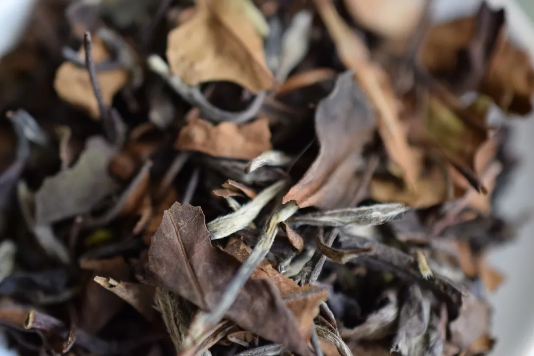 选择白茶终极难题：白茶到底散茶好还是饼茶好？