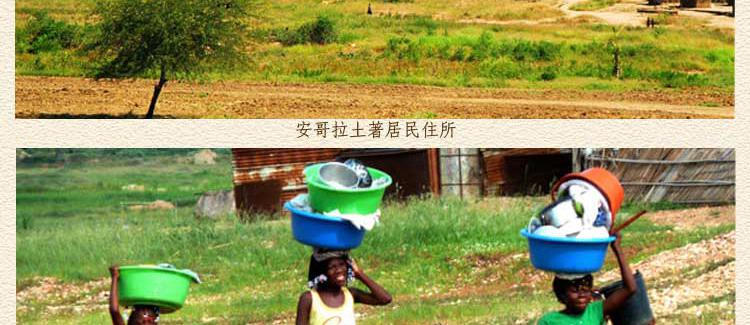安哥拉卡宾达树皮产地实况图片