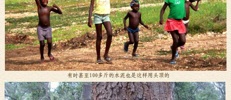 安哥拉卡宾达树皮产地实况图片